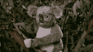 koalaowned.gif image by SanFrancisco__